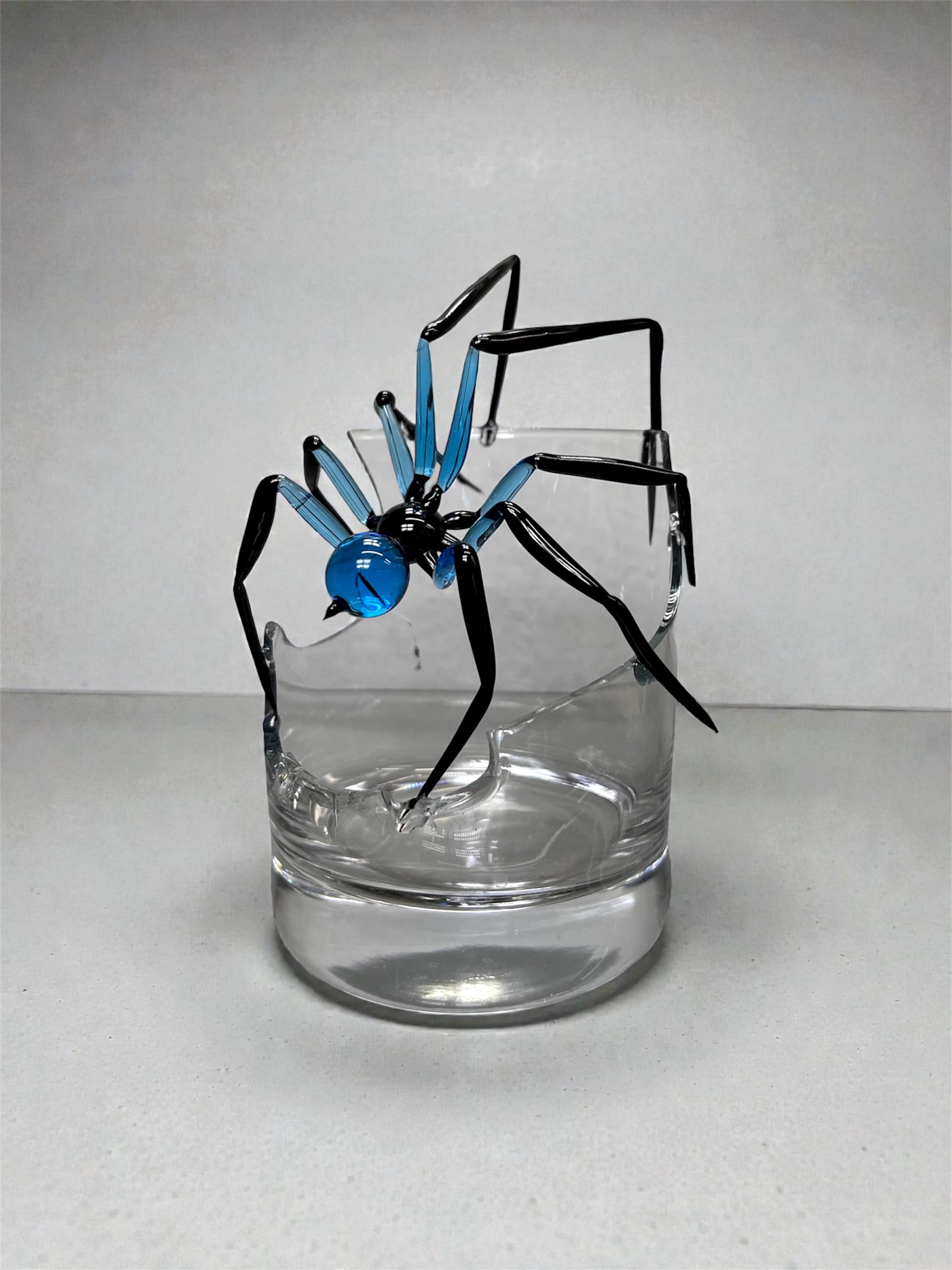 Örümcek Biblo detay